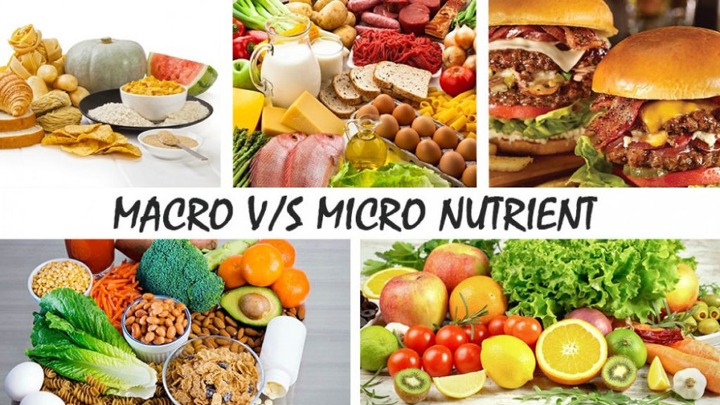 Macros and Micros