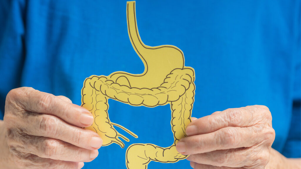 Understanding Gut Health